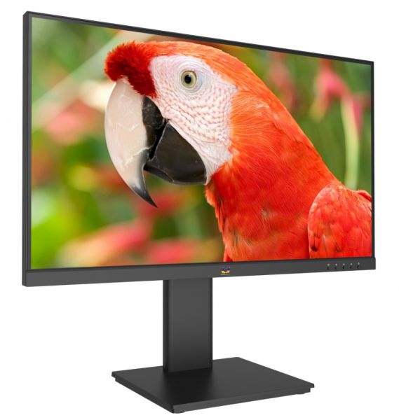 ViewSonic LCD 显示器 VA2450-HDJ